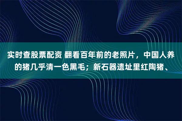 实时查股票配资 翻看百年前的老照片,中国人养的猪几乎清一色黑毛;新石器遗址里红陶猪、