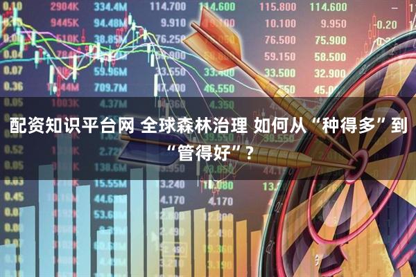 配资知识平台网 全球森林治理 如何从“种得多”到“管得好”?